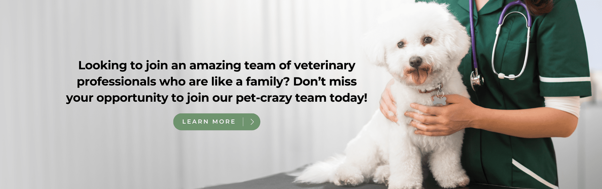 Looking to join an amazing team of veterinary professionals who are like a family? Don’t miss your opportunity to join our pet-crazy team today!