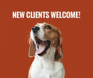 new-clients