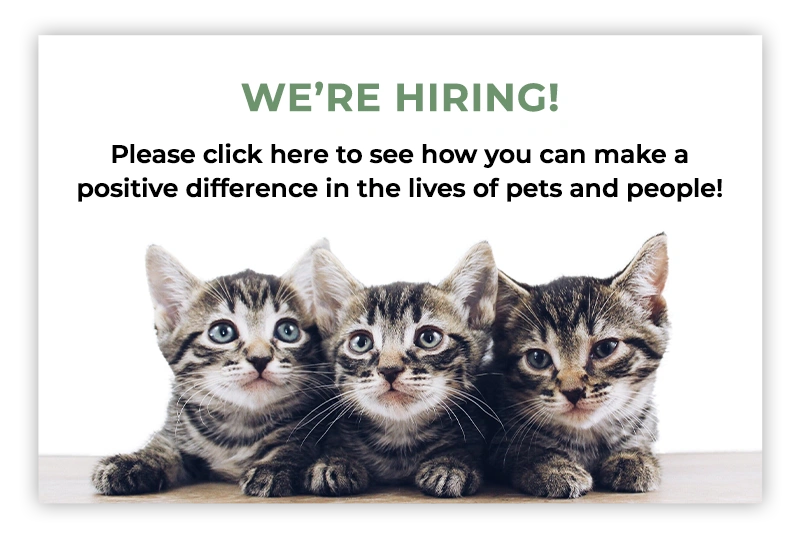 We're Hiring! Please click here to see how you can make a positive difference in the lives of pets and people!