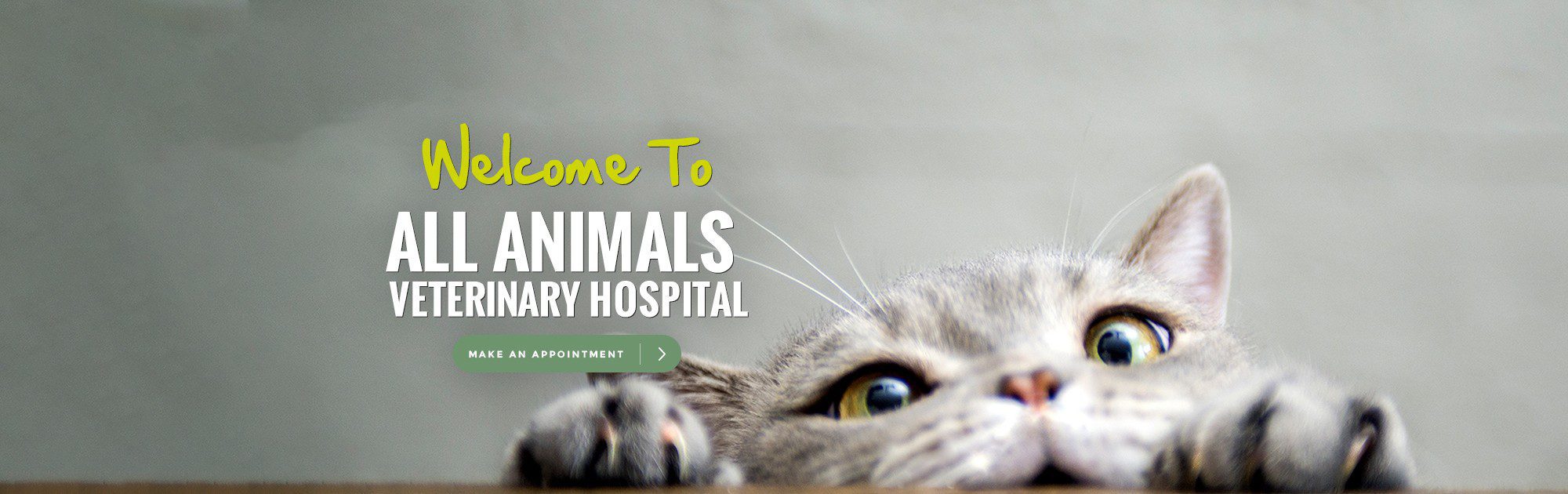 Welcome to All Animals Veterinary Hospital. Make an Appointment