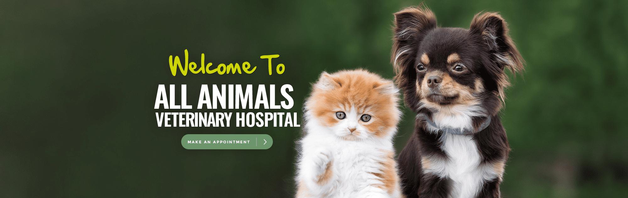 Vet Clinic in Dawsonville & Dahlonega, GA | Animal Hospital