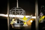 Three small yellow and greenish birds on a hanging white wire bird feeder.